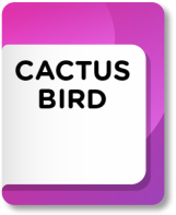 Partenaire CACTUS BIRD